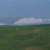 Point Reyes 15
